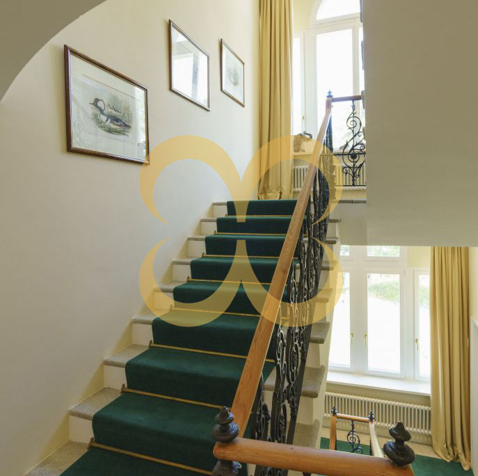 20160915-5037-687x1030