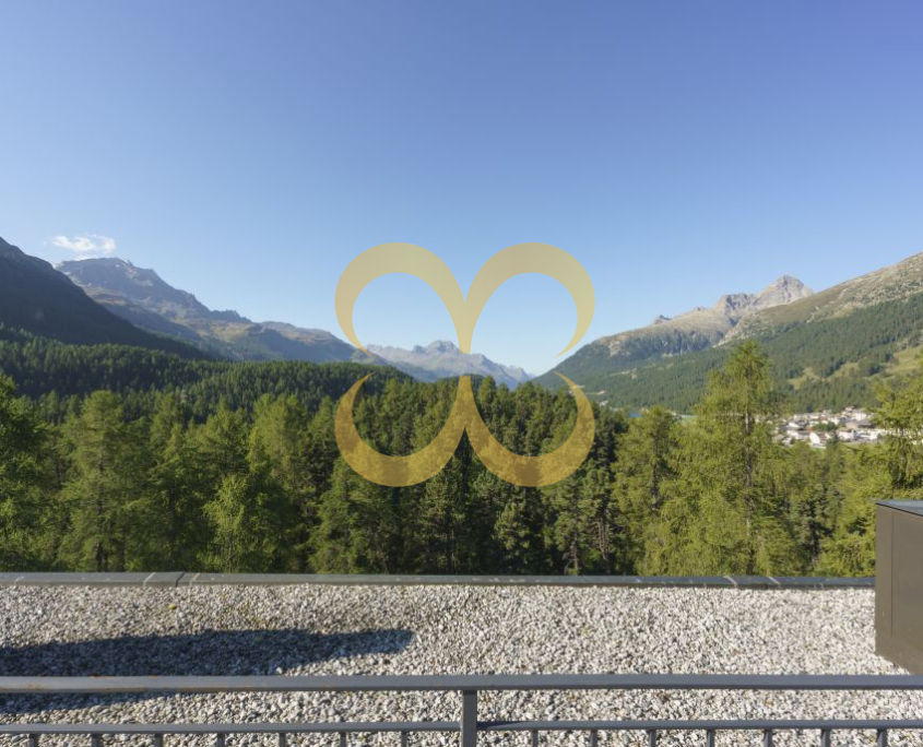 20160915-5049-1030x687