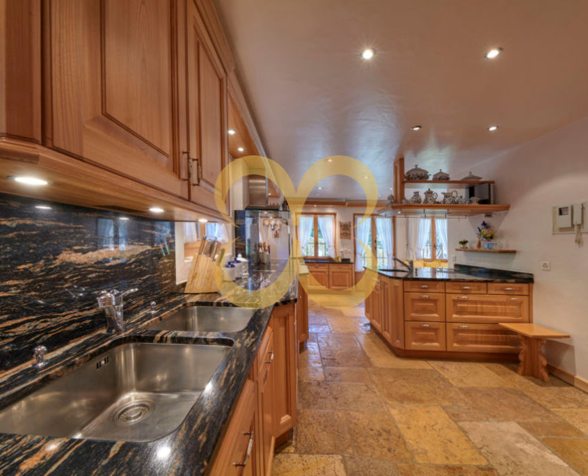 Wasescha_Rougemont_59-1-1030x687