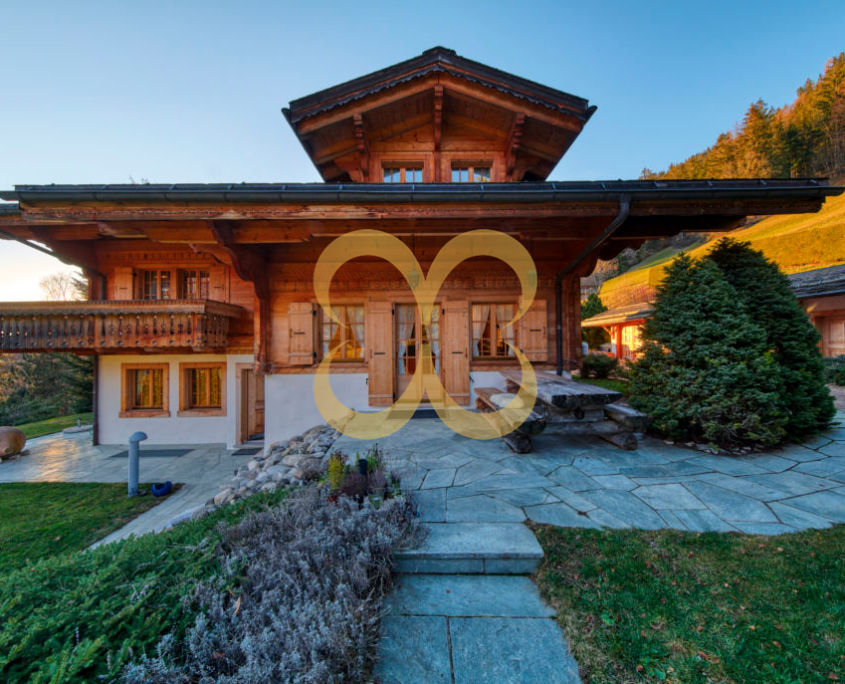 Wasescha_Rougemont_79-1-1030x687