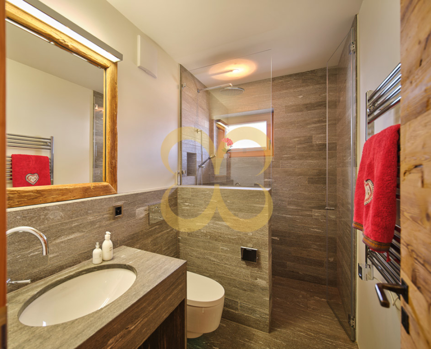 Wasescha_APT_AB_22_010