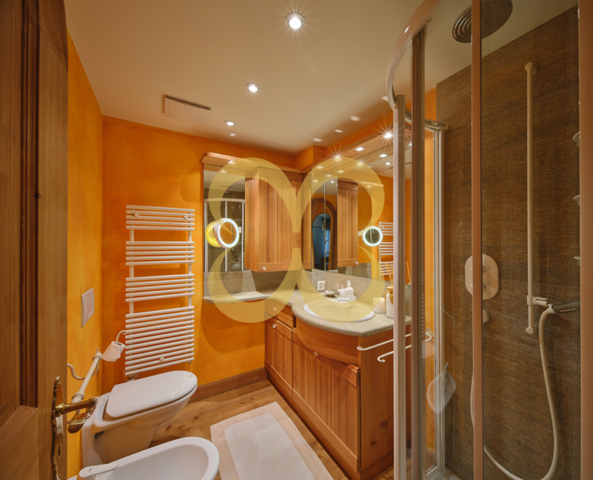 Wasescha_APT_9_25_Celerina_020