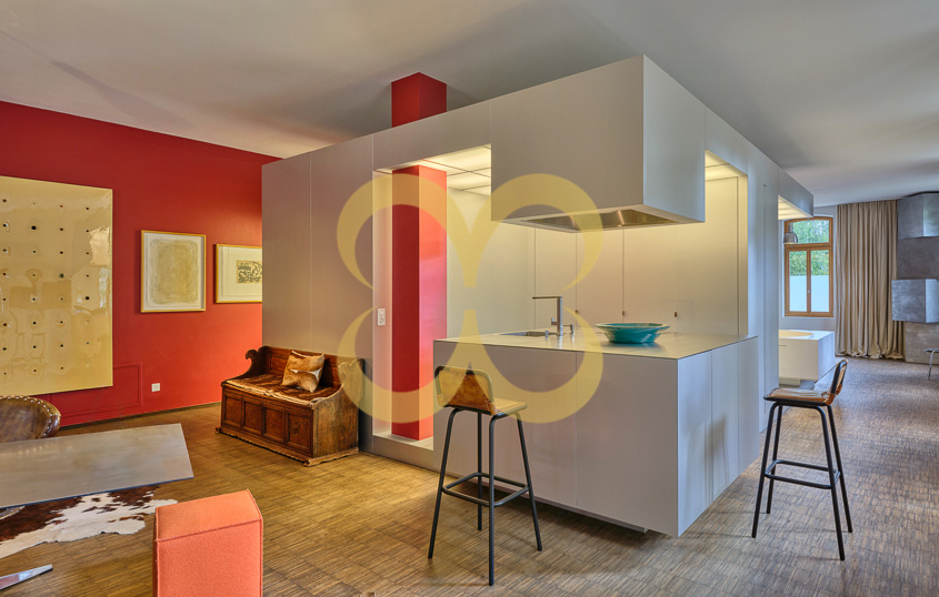 Wasescha_APT_9_25_Gorilla no stereo_009